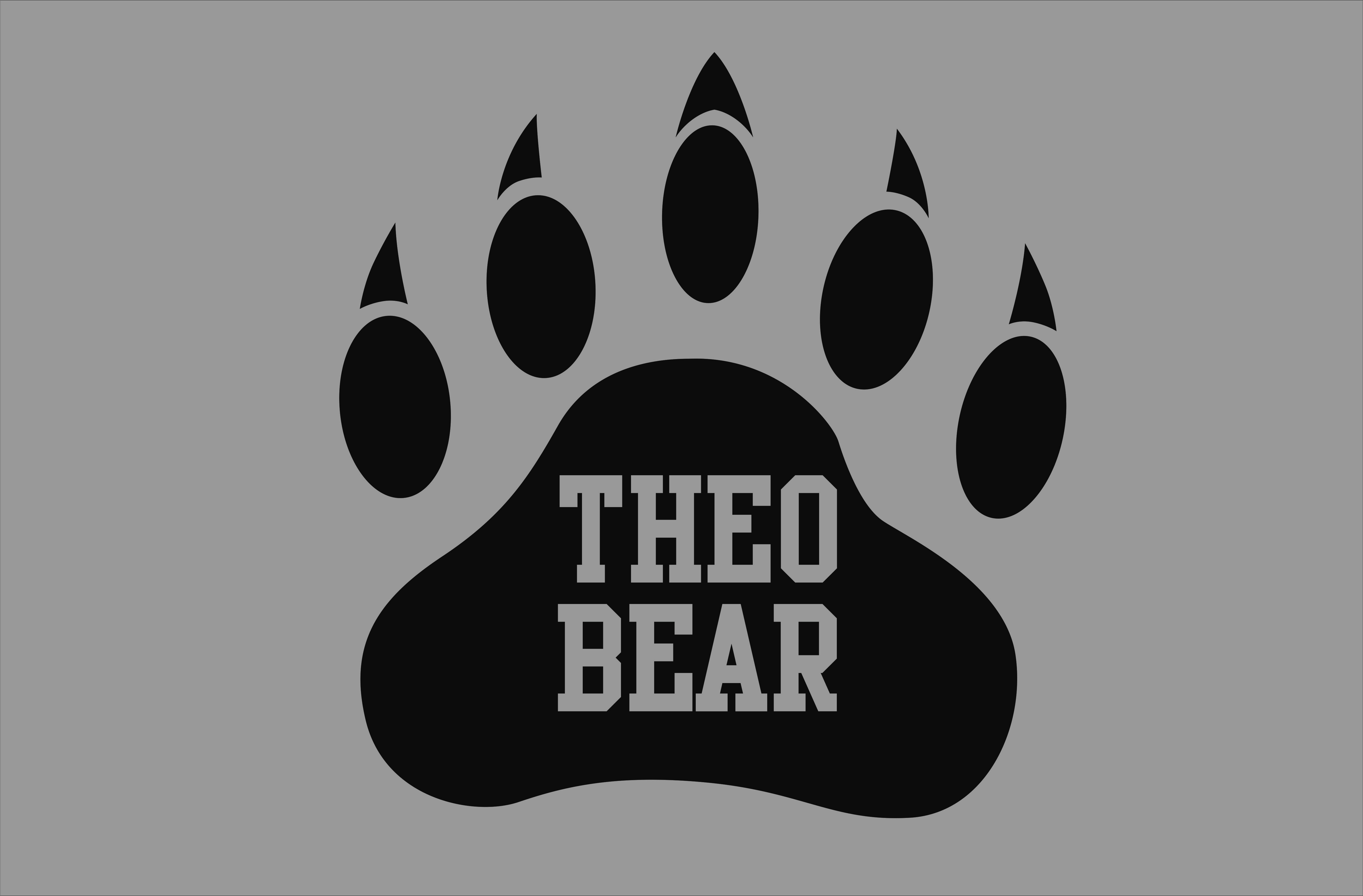 Theo Bear